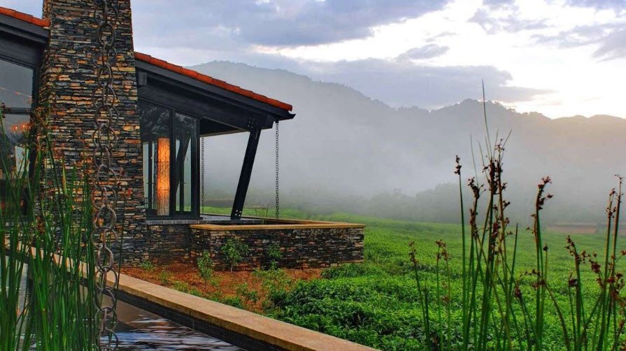 Nyungwe Forest National Park, Rusizi/Nyamasheke, Western Province, Rwanda